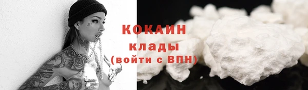 прущие грибы Абдулино