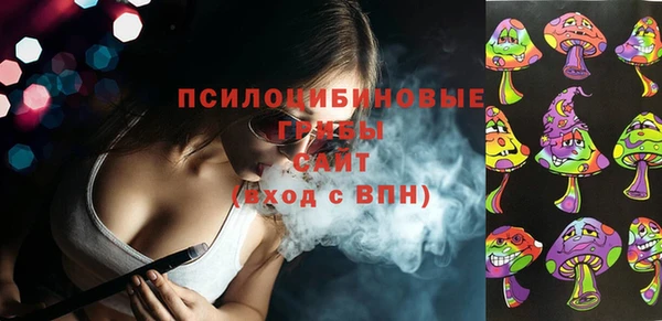 прущие грибы Абдулино