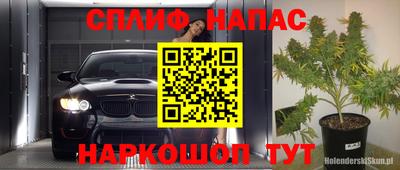 ешки Новодвинск