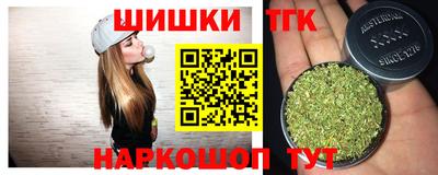 ешки Новодвинск