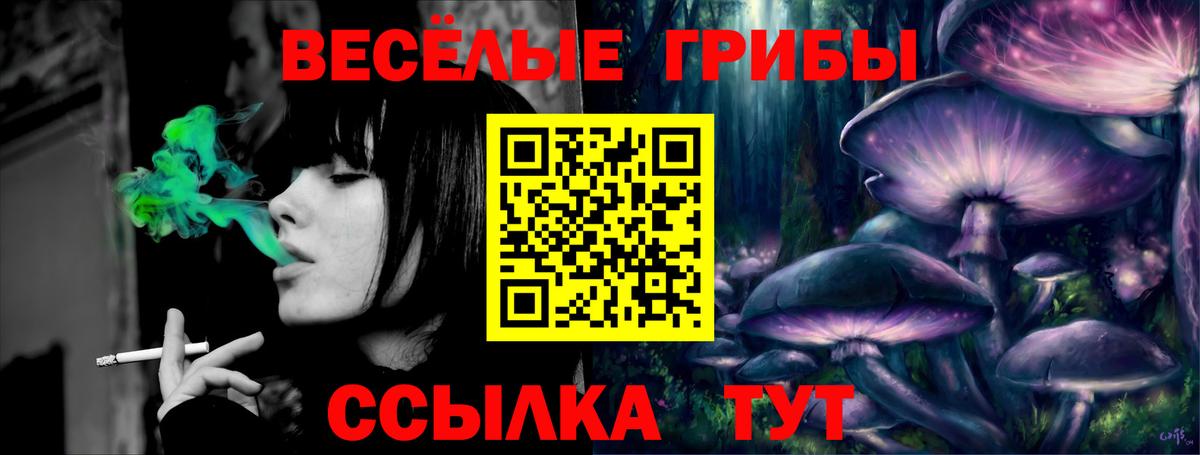 Псилоцибиновые грибы MAGIC MUSHROOMS Шали